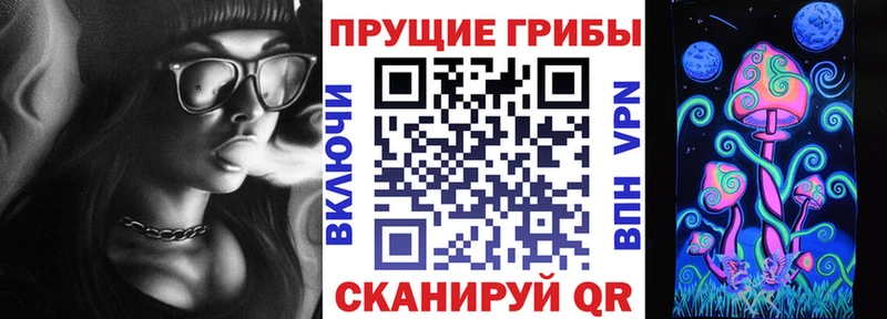 как найти закладки Чадан ОМГ ОМГ как войти Галлюциногенные грибы Magic Shrooms